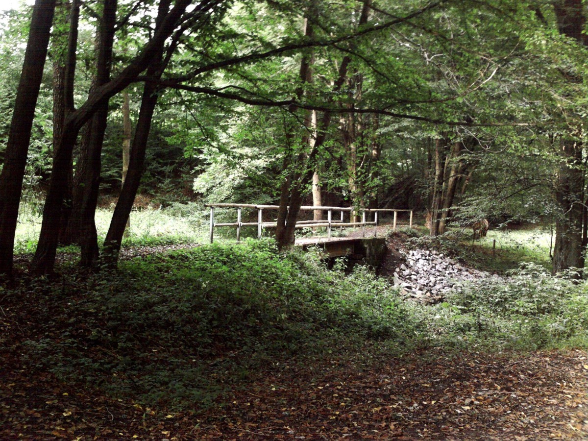 Anklicken, um zu vergrößern